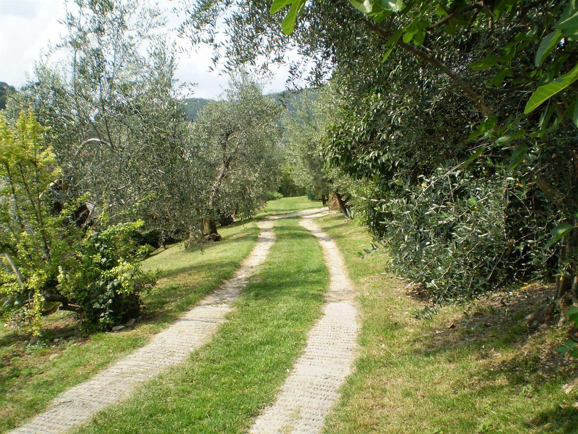 Agriturismo Renzano Garden Apartments Salò Exterior foto